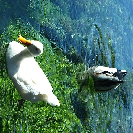 Portofino Hotell Akyaka (Mugla)