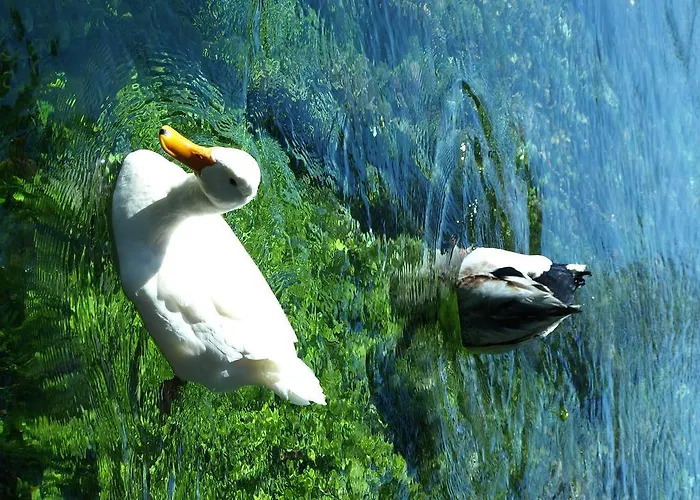 Portofino Hotell Akyaka (Mugla)